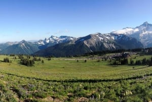 シアトル：マウント・レーニア公園オールインクルーシブ小グループツアー