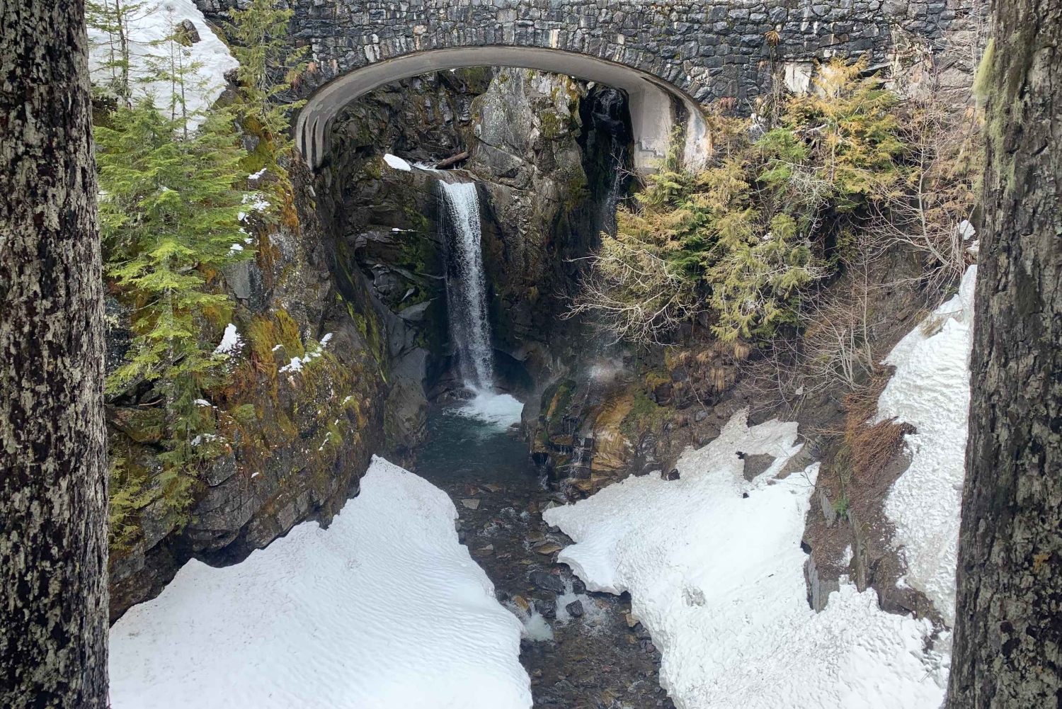 Seattle : Randonnée au Mont Rainier avec cascades, glaciers et arbres