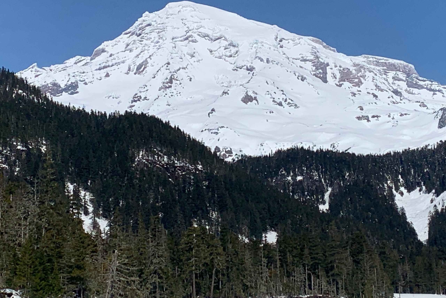Seattle : Randonnée au Mont Rainier avec cascades, glaciers et arbres