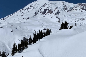 Seattle : Randonnée au Mont Rainier avec cascades, glaciers et arbres