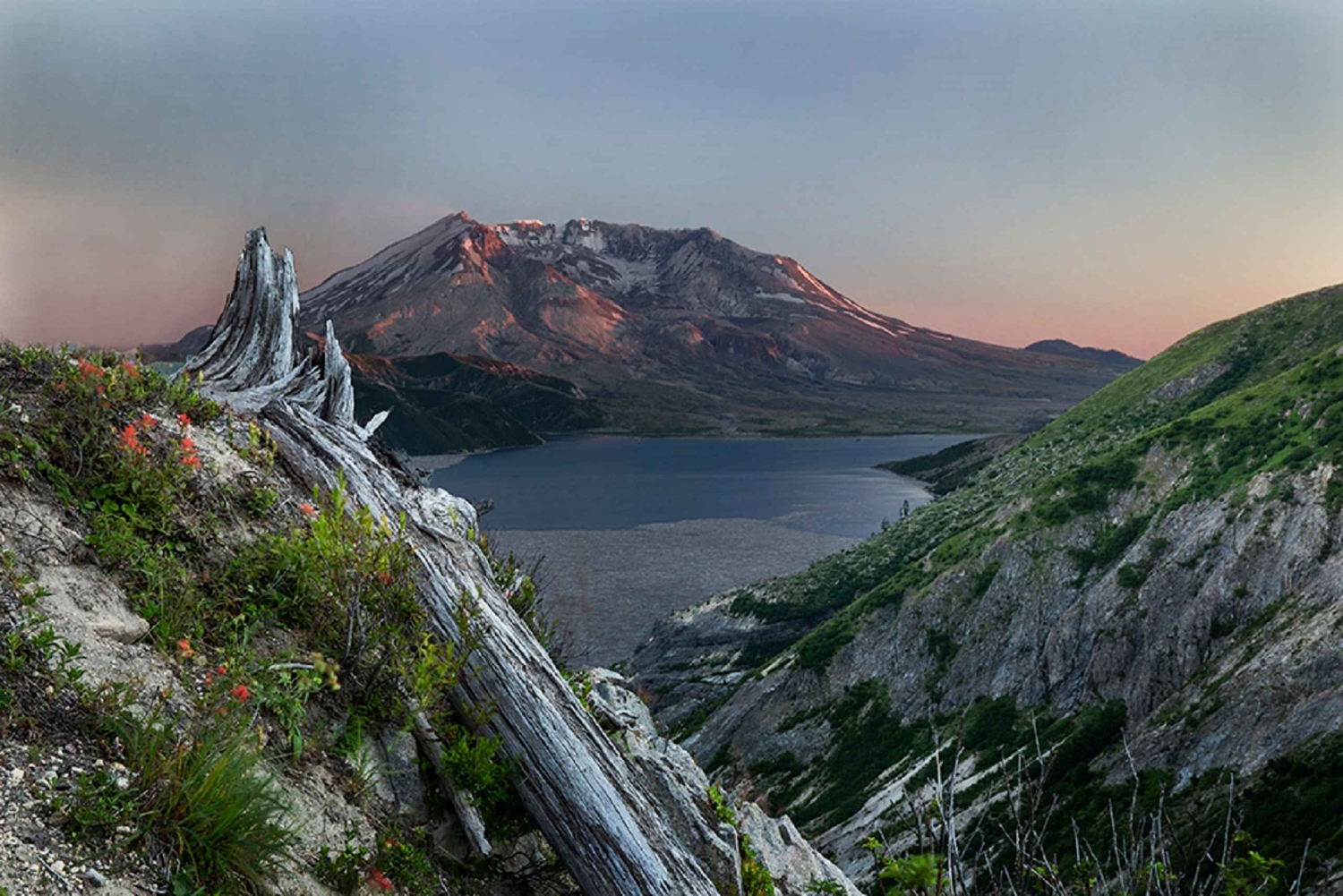 Seattle: Wycieczka w małej grupie do pomnika narodowego Mt. St. Helens