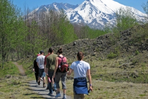 Seattle: Wycieczka w małej grupie do pomnika narodowego Mt. St. Helens
