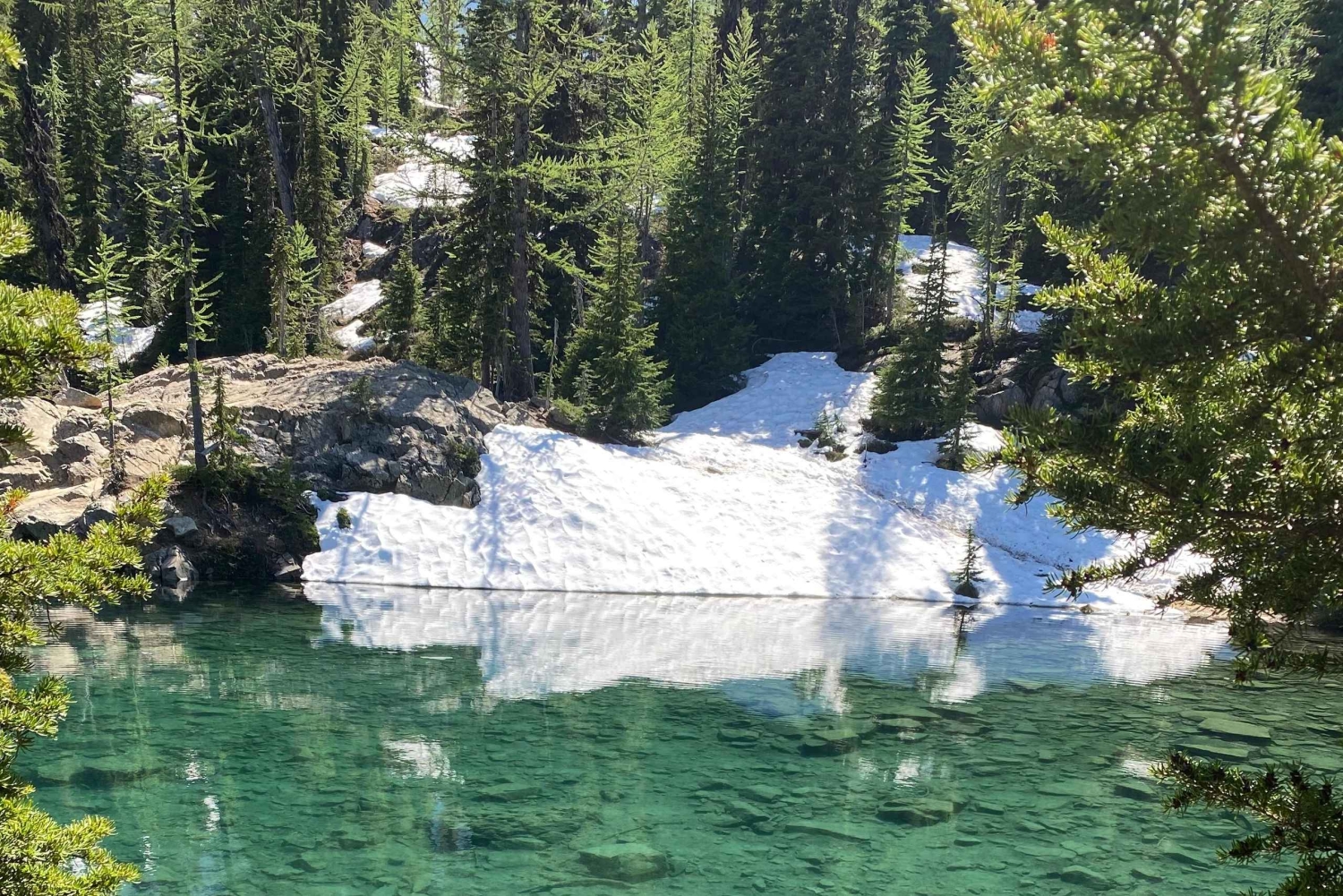 シアトル発：ノースカスケード山脈日帰りツアーをご体験ください