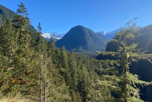 シアトル発：ノースカスケード山脈日帰りツアーをご体験ください