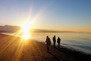 Seattle: Olympic National Park Small-Group Tour