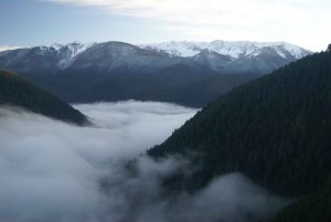 Seattle: Olympic National Park Small-Group Tour