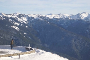 Seattle: Olympic National Park Small-Group Tour