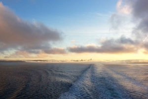 Seattle: Olympic National Park Small-Group Tour