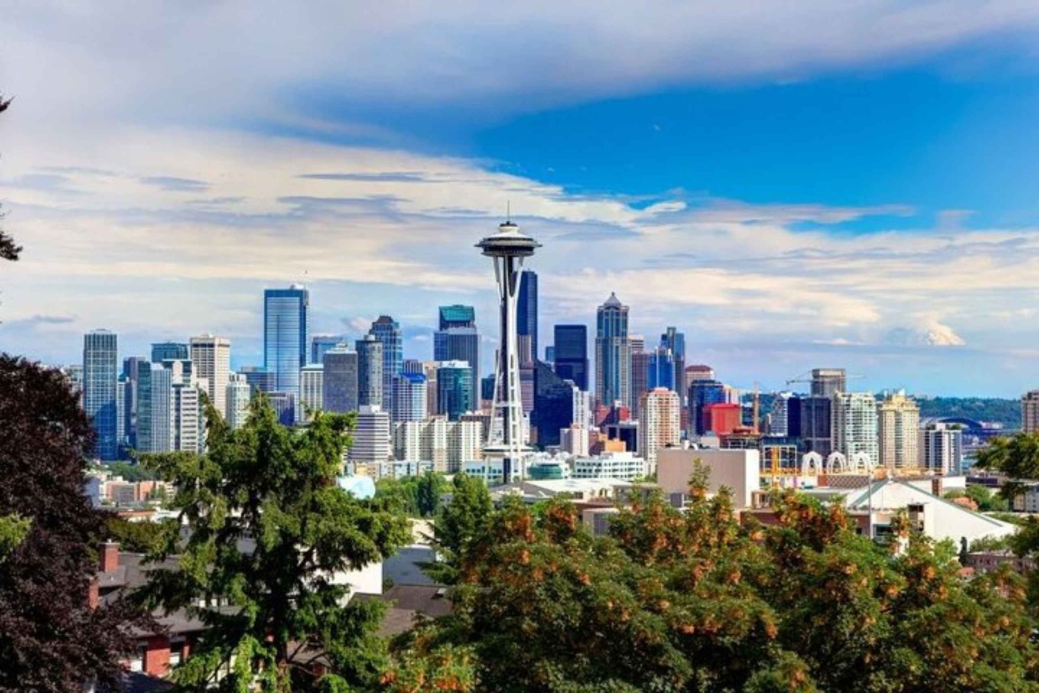 Seattle : visite à pied privée et personnalisée avec un guide de la région