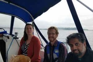 Seattle: Avventura in barca a vela nel Puget Sound