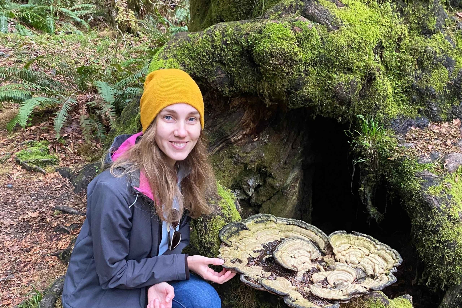 Seattle: sademetsän ja Olympian kansallispuiston kohokohdat