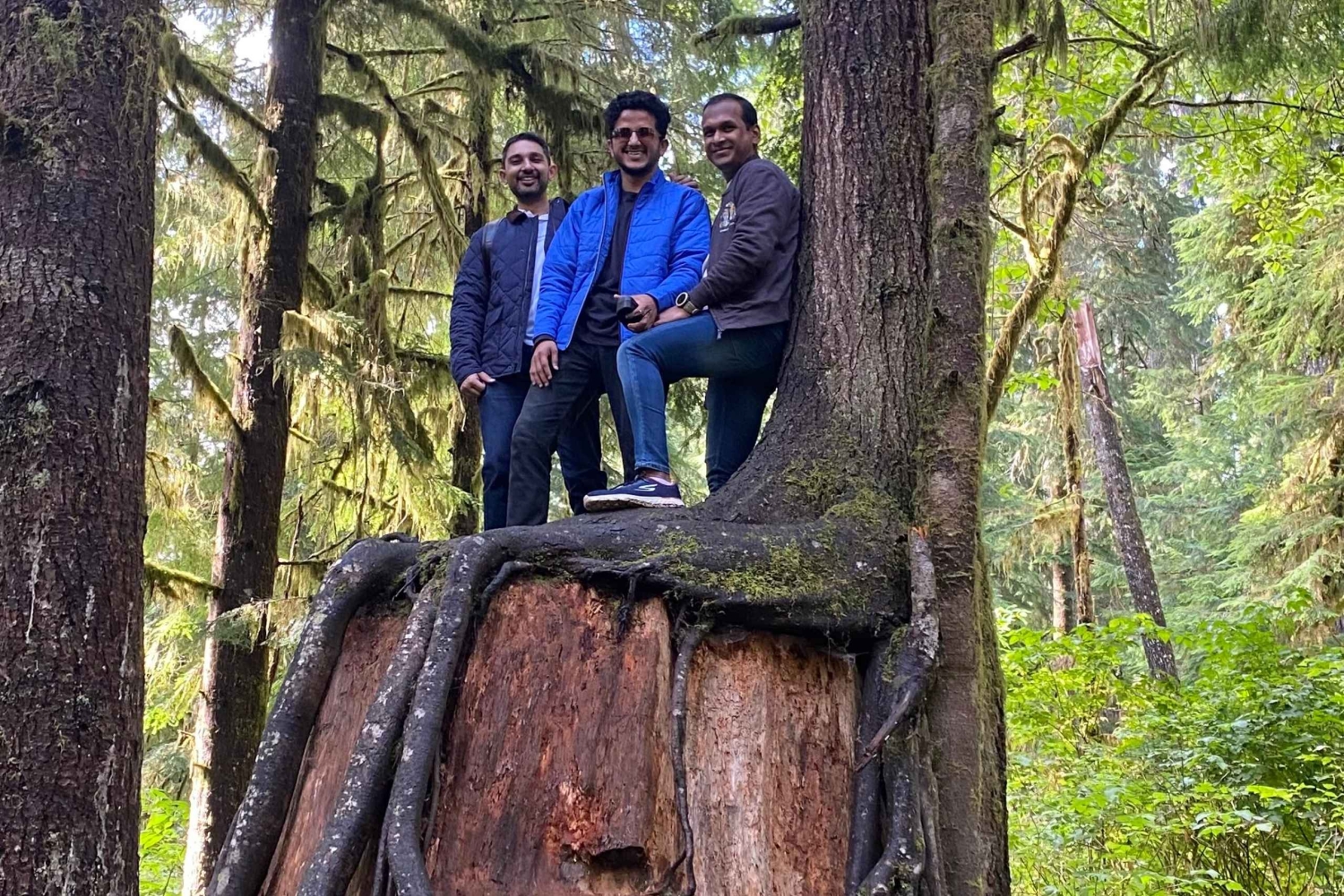 Seattle: sademetsän ja Olympian kansallispuiston kohokohdat