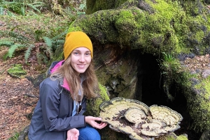 Seattle: sademetsän ja Olympian kansallispuiston kohokohdat