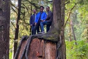 Seattle: sademetsän ja Olympian kansallispuiston kohokohdat