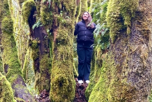 Seattle: sademetsän ja Olympian kansallispuiston kohokohdat