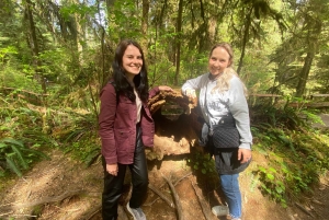 Seattle: sademetsän ja Olympian kansallispuiston kohokohdat