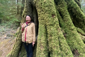 Seattle: sademetsän ja Olympian kansallispuiston kohokohdat