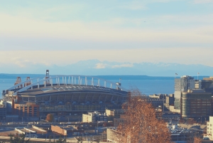 Seattle: biglietto per la partita di football dei Seattle Seahawks