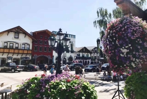 Seattle : Excursion d'une journée aux chutes de Snoqualmie et à Leavenworth