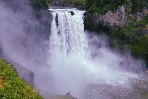 Seattle: Snoqualmie Falls ja Twin Falls opastettu kierros
