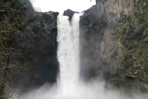 Seattle: Snoqualmie Falls ja Twin Falls opastettu kierros