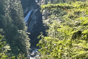 Seattle: Snoqualmie Falls ja Twin Falls opastettu kierros