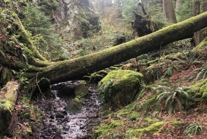Seattle: Snoqualmie Falls ja Twin Falls opastettu kierros