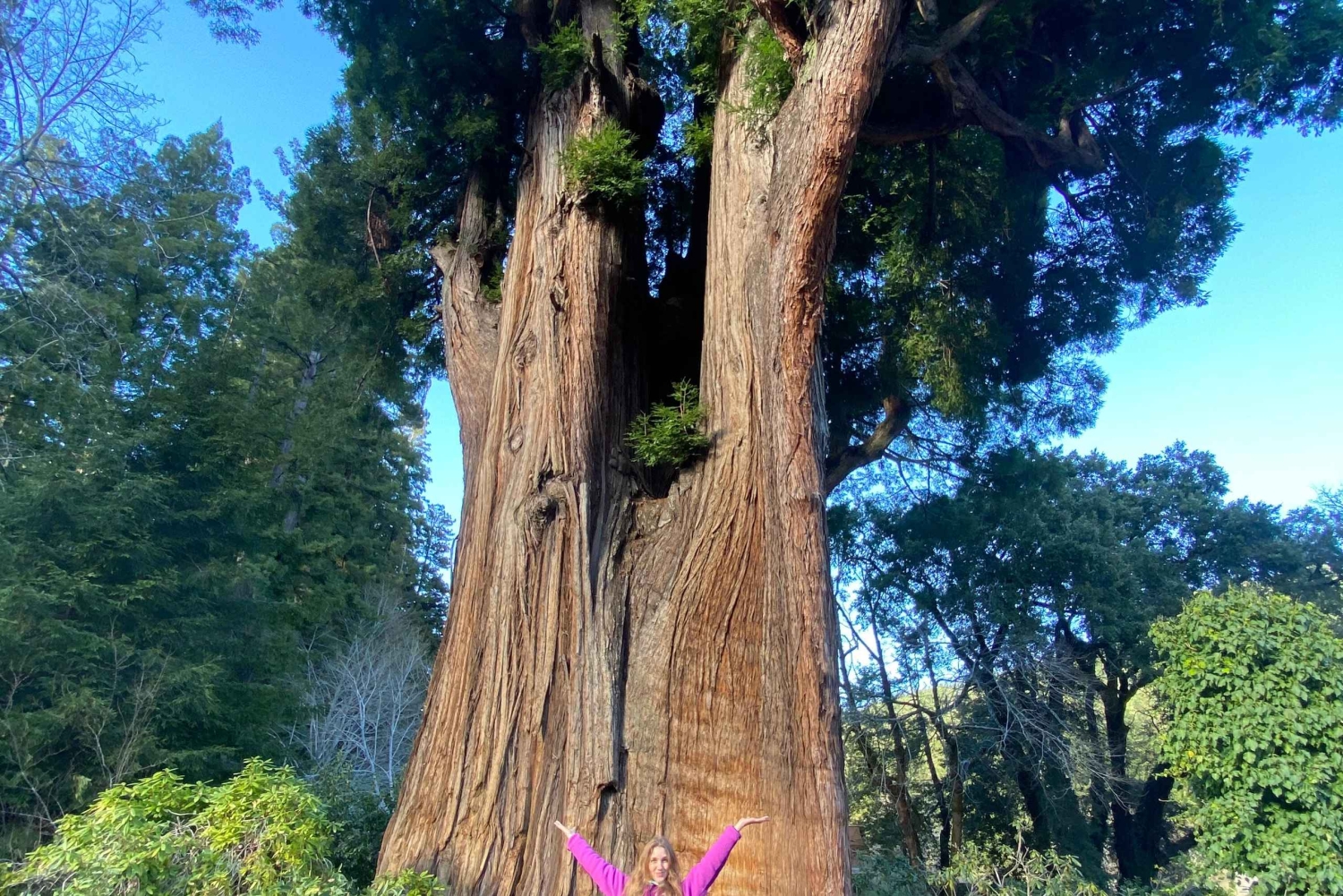 Seattlesta Kaliforniaan: kansallispuistoja ja rannikkoretki