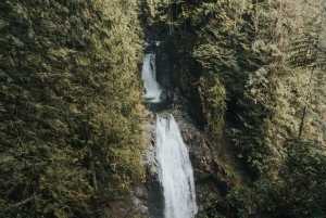 Seattle : Randonnée au pays des merveilles des chutes d'eau dans le parc Wallace Falls