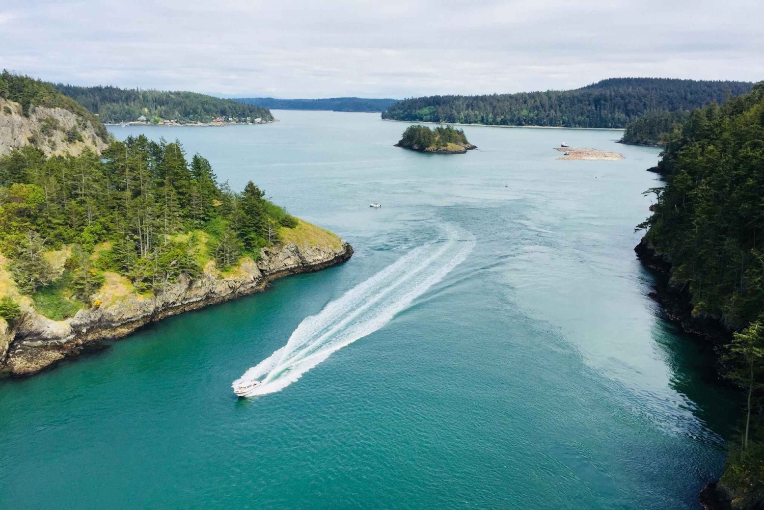 Seattle : Whidbey Island Deception Pass + Voyage d'observation des oiseaux en hiver