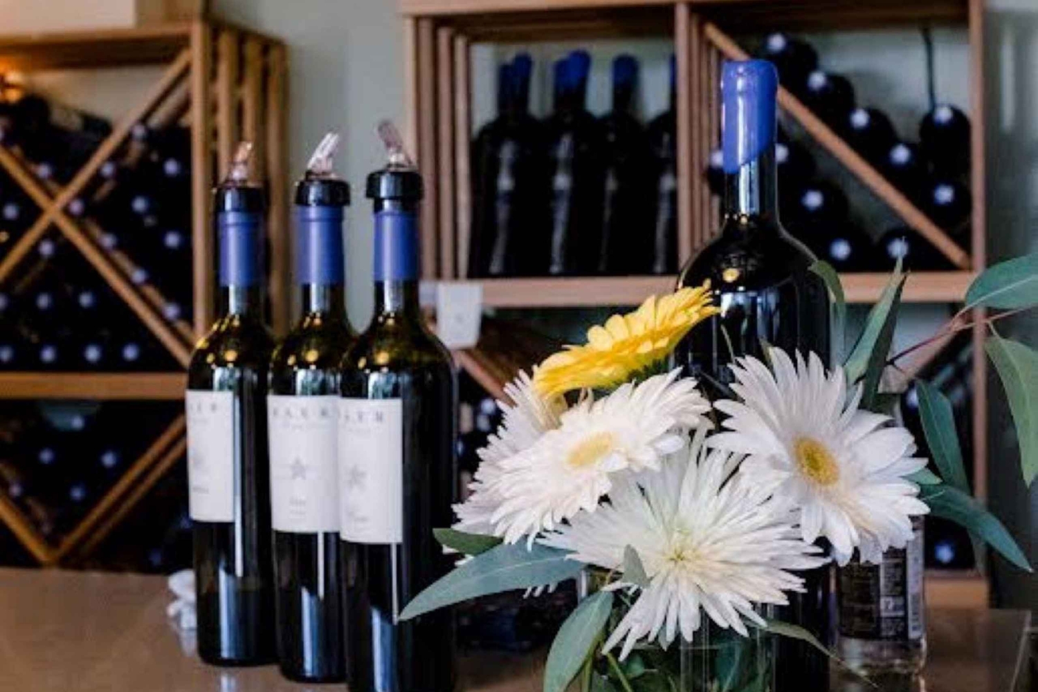 Seattle: Woodinville Guidad tur med valfria vinprovningar