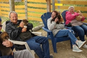 Skagway: Yukon, White Pass e Husky Sled Camp Combo Tour