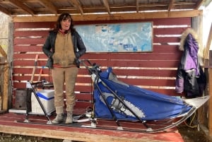 Skagway: Yukon, White Pass e Husky Sled Camp Combo Tour