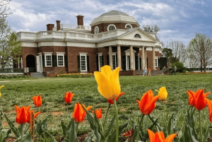 Washington DC:Tour Thomas Jefferson Monticello in kleine groep