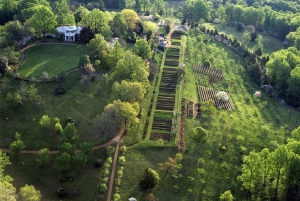 Washington DC:Tour Thomas Jefferson Monticello in kleine groep