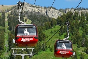 Liten grupp: 4- eller 5-dagars Yellowstone & Grand Teton-tur från SLC