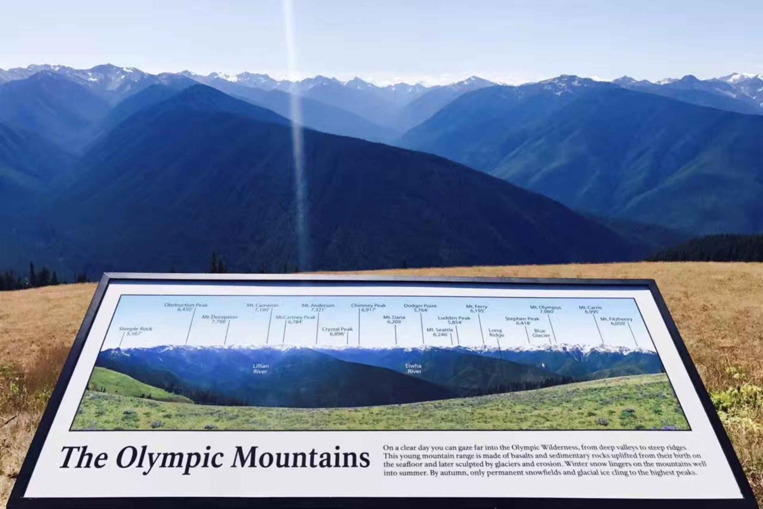 少人数グループ：シアトル発 オリンピック国立公園日帰りツアー