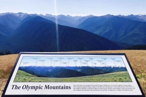 少人数グループ：シアトル発 オリンピック国立公園日帰りツアー