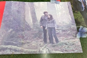 小グループ：シアトル発 オリンピック国立公園＆フォークス日帰りツアー