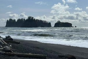 小グループ：シアトル発 オリンピック国立公園＆フォークス日帰りツアー