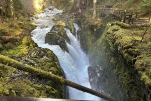 小グループ：シアトル発 オリンピック国立公園＆フォークス日帰りツアー