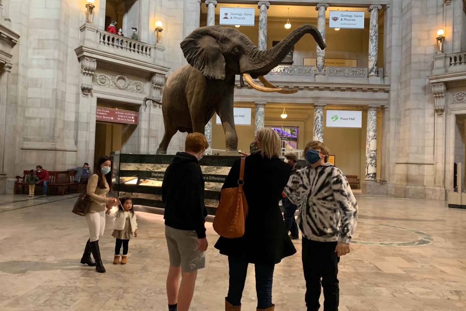 Smithsonian National Museum of Natural History guidet tur