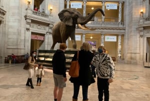 Führung durch das Smithsonian National Museum of Natural History