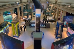 Führung durch das Smithsonian National Museum of Natural History