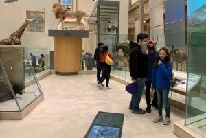 Führung durch das Smithsonian National Museum of Natural History