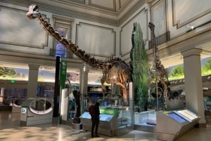 Führung durch das Smithsonian National Museum of Natural History