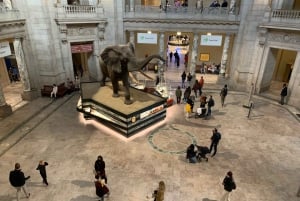 Führung durch das Smithsonian National Museum of Natural History