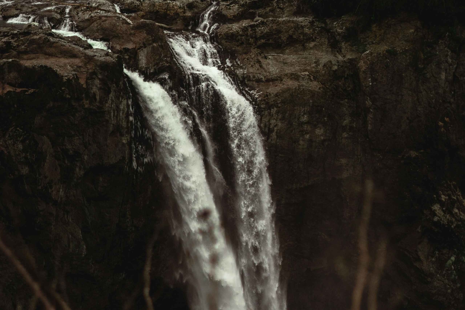 Снокуолми, Твин-Фолс и древний лес (транспорт включен)