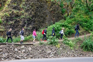 Снокуолми, Твин-Фолс и древний лес (транспорт включен)