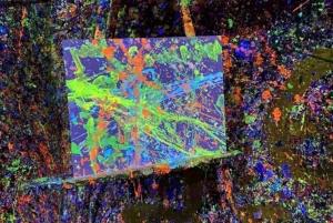 Tacoma: Esperienza di pittura splatter